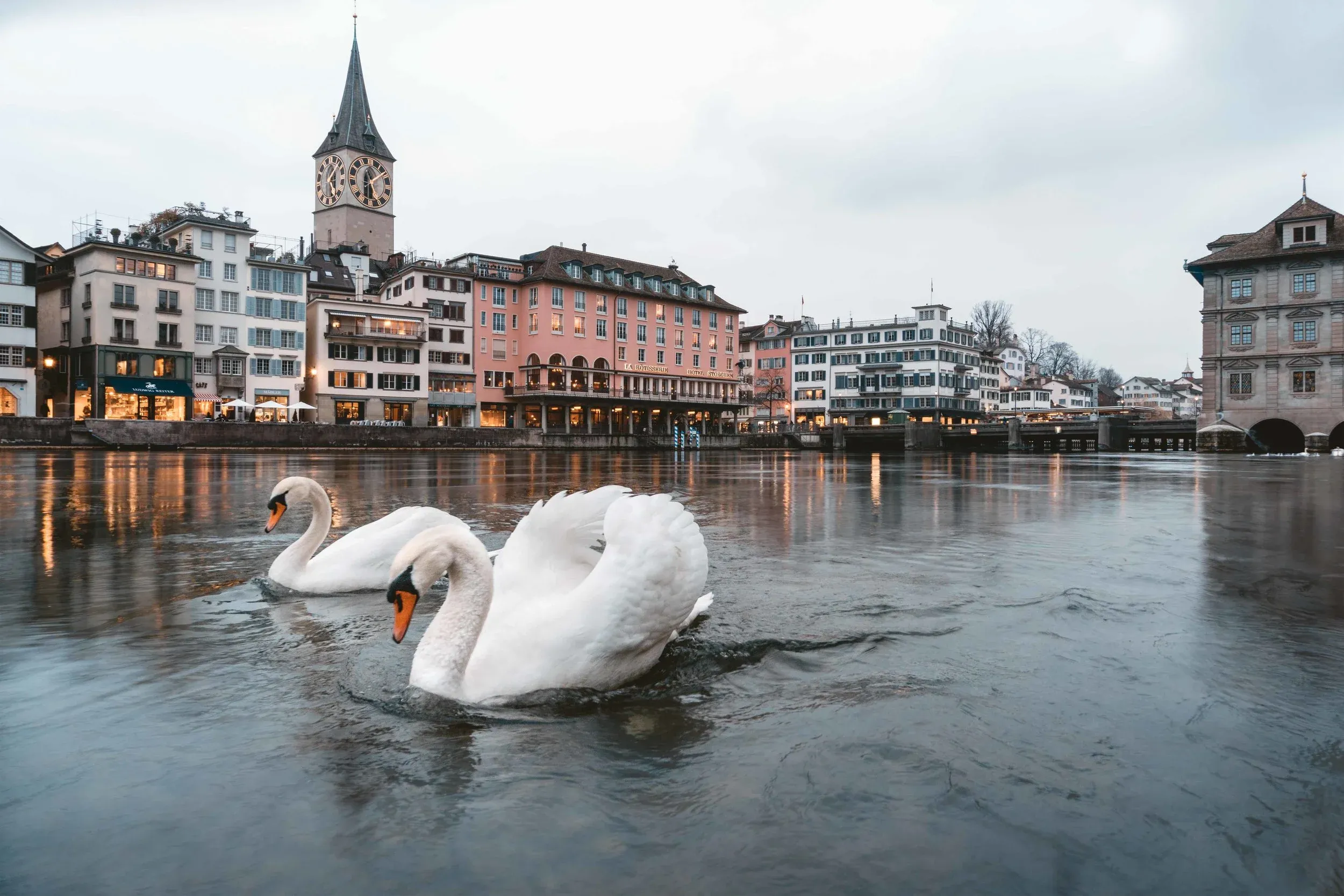 Swans 2.0