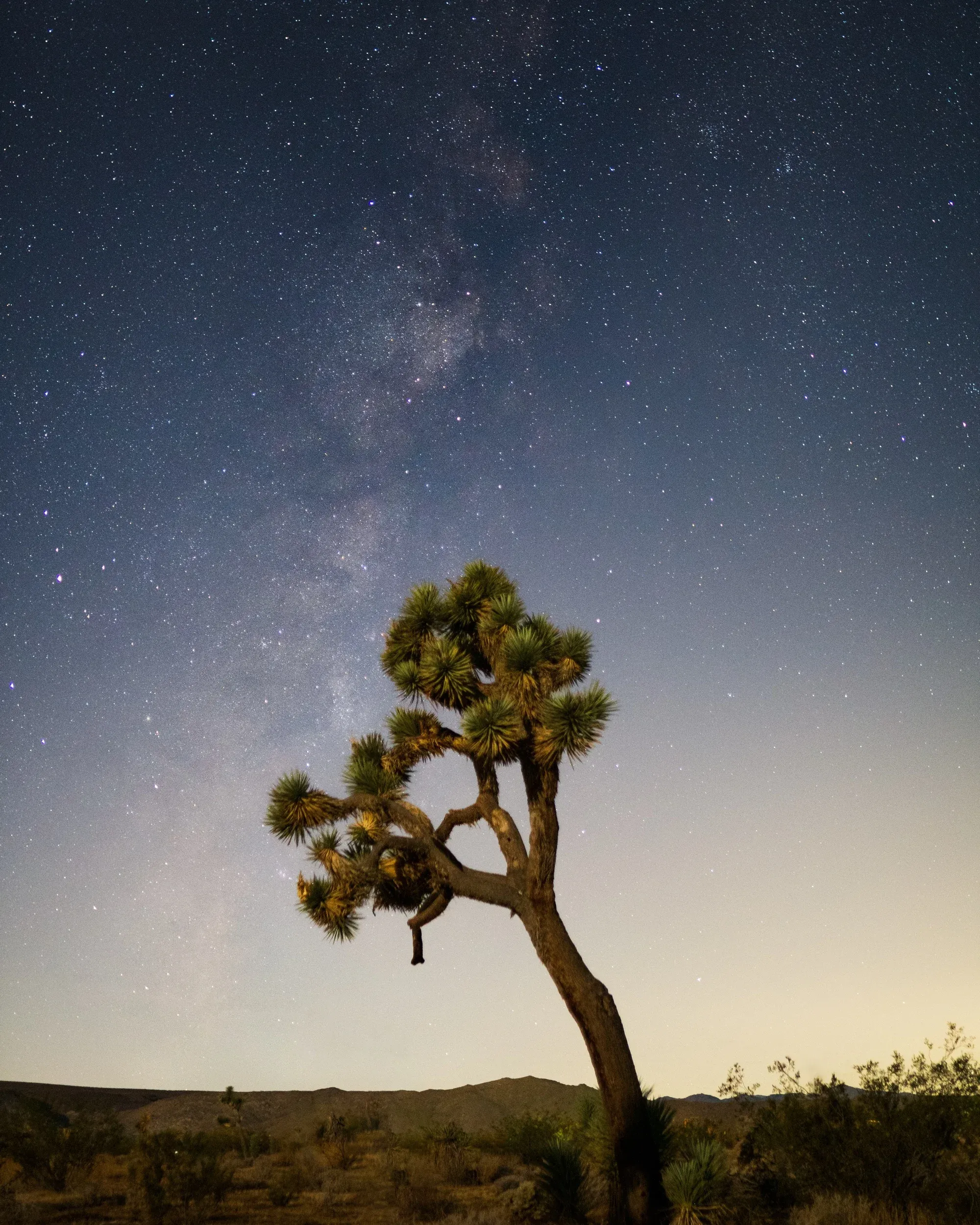 California 2019 photo