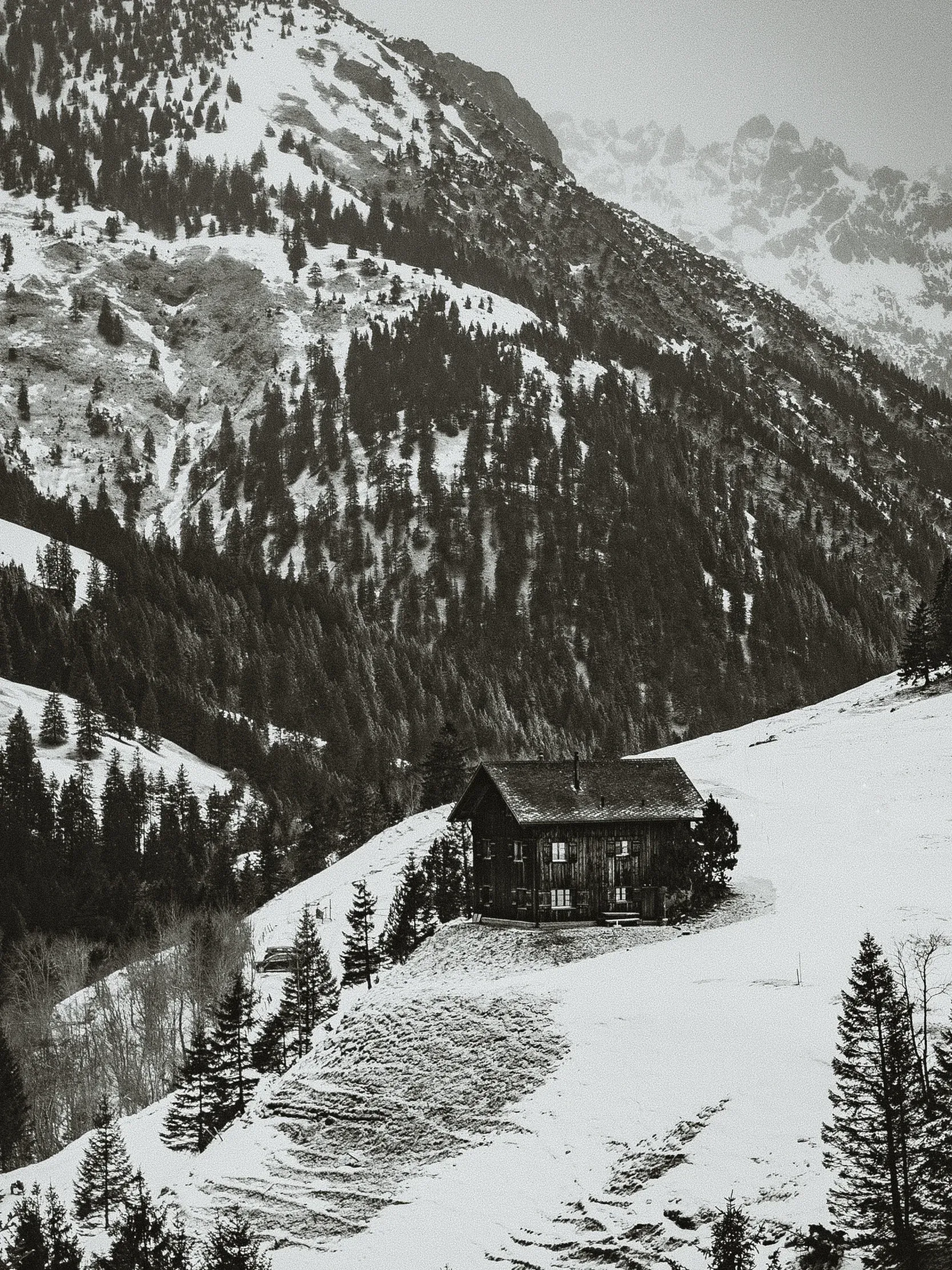 Lonely Cabin